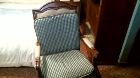 Oscar online show from December 21, 4:35 pm