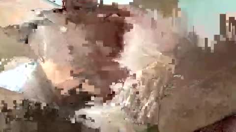 Oxo online show from October 8, 9:48 am