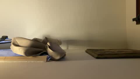 palerider269 online show from February 13, 1:48 pm