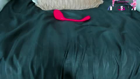 pamela_ambrosia1 online show from April 30, 5:40 pm