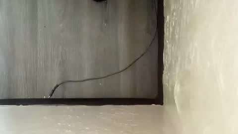 pantieplaytime52532 online show from December 25, 5:16 am