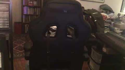 Pantyvioletlace online show from April 11, 1:43 am