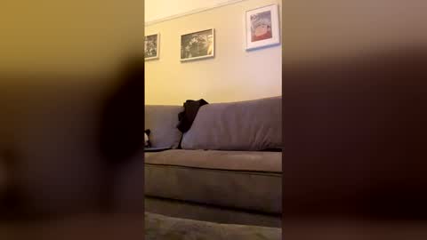 parkertom525 online show from April 14, 7:28 pm