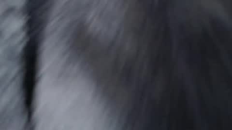 WILD GROUP - SAMANTHA TS - BRITANY REAL GIRL -  CHRISTOPHER BOY  - JUSTIN  BOY online show from March 18, 12:00 pm