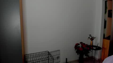 patricia_bloom online show from March 19, 5:57 am