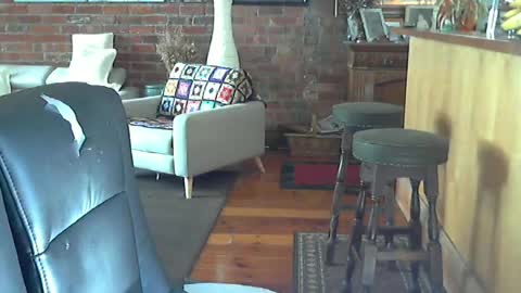 patvac online show from July 18, 1:40 am