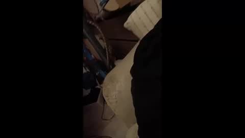 paulobascet online show from January 12, 3:28 am