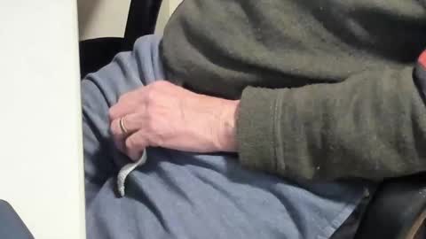 Paul online show from February 10, 6:45 pm