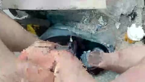 paulymcdona online show from April 6, 2:31 am