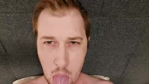 NordicBullForMilking online show from July 20, 11:23 am