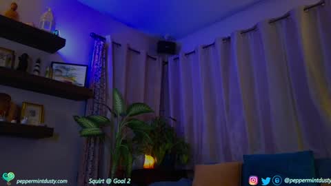 Snapshot of peppermintdusty chatting on December 19, 4:13 am Peppermint and Dusty online show from December 19, 4:13 am