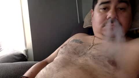 perro2010joshua online show from June 21, 12:33 pm