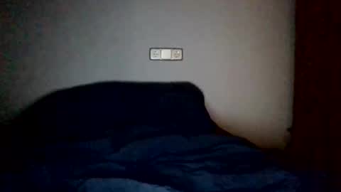 dani online show from January 15, 7:00 pm