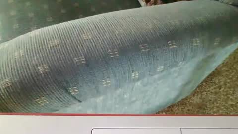 petracd57 online show from December 2, 9:13 pm