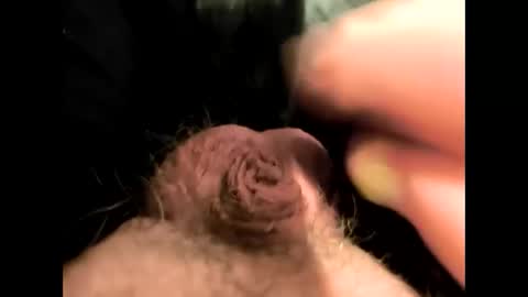 petrol63102 online show from February 21, 7:39 pm