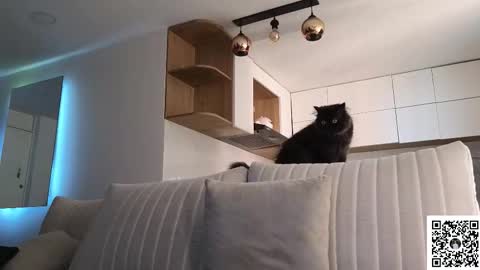 phantom_bigger1 online show from February 9, 7:49 pm