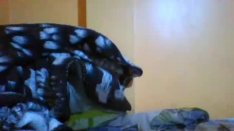 PICHULAMOJADA online show from June 30, 1:38 am