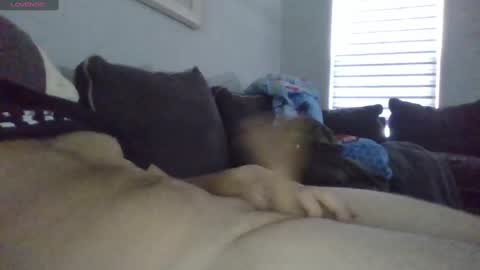 Snapshot of pickeler chatting on January 11, 5:07 pm big pickle online show from January 11, 5:07 pm