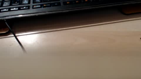 pier49x online show from February 10, 3:35 am