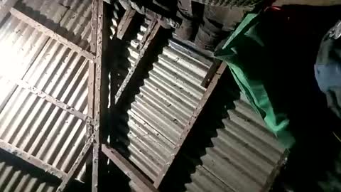 pinaybobs online show from January 14, 8:06 pm