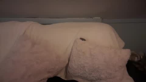 Snapshot of pirdybirdyxo chatting on March 2, 6:37 am pirdybirdyxo online show from March 2, 6:37 am