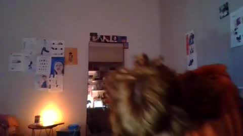 plsmecha online show from July 11, 8:56 pm