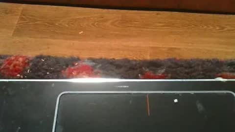 pokerfffface79 online show from February 19, 9:52 am