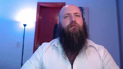 Bear online show from February 23, 8:17 am