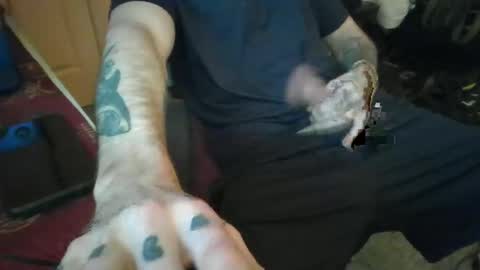 Snapshot of polishrifle3 chatting on January 23, 1:41 am jaws online show from January 23, 1:41 am
