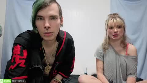 Cheshire  Bee online show from September 23, 2:49 am