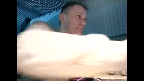 pomplinero online show from November 3, 10:00 pm