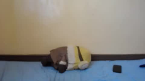 popetykely00 online show from November 27, 10:23 am