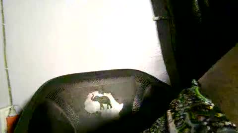 luna online show from April 2, 3:47 am