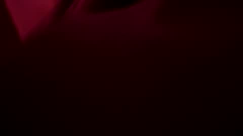 Haven online show from January 18, 3:04 am