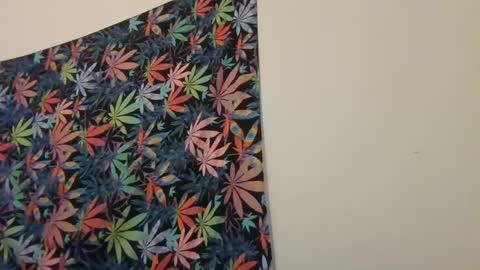 Libra Lamont online show from January 19, 6:09 am