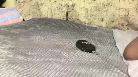 pricky375313 online show from April 5, 9:28 am