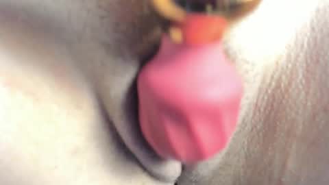 princess_tokyo_ online show from November 12, 5:21 am