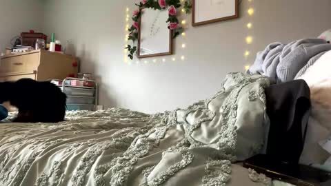 Sable online show from April 17, 9:17 pm