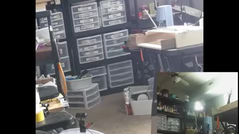 pudgy online show from October 23, 8:31 pm