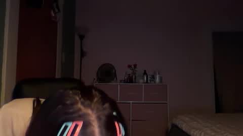 Pumpkin bunny online show from January 7, 6:29 am