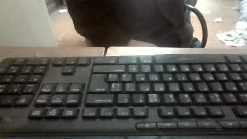 pup_y online show from November 12, 6:21 pm