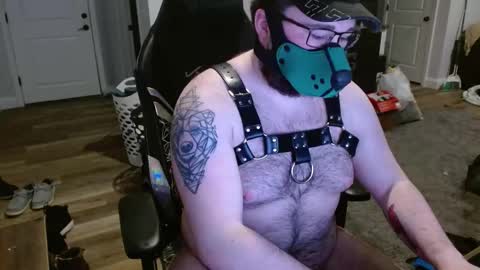 Maine Bear Cub online show from February 11, 4:33 am