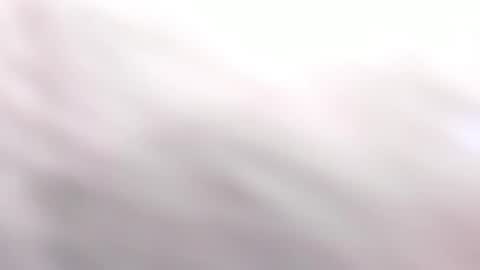   online show from March 6, 6:05 pm