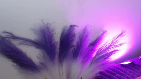 Queen Rosee  online show from December 3, 8:53 pm