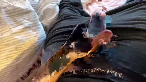 r_andolph online show from November 21, 8:56 am