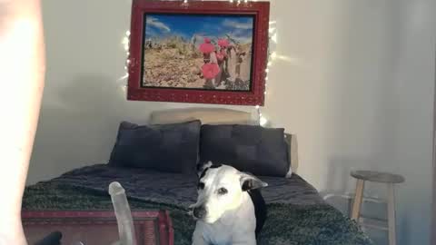    RAMONA Q   online show from April 14, 8:39 am