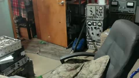 Randall online show from July 15, 7:51 pm