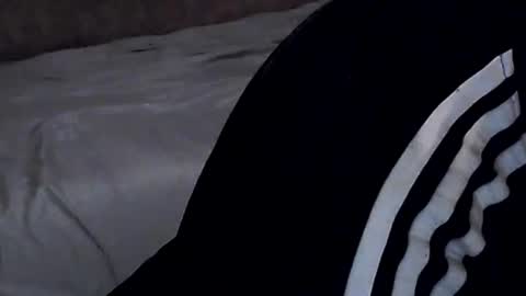  Yrriel Strife Candy-Demon Caveboy mr. Cringe   online show from November 5, 5:20 am