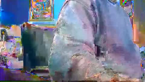 rb69er905364 online show from December 28, 4:52 pm