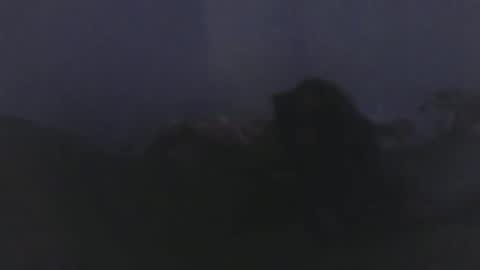 SexyFlacko online show from May 16, 1:21 pm